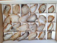 Polished Banded Agate Slices x 24 From Madagascar