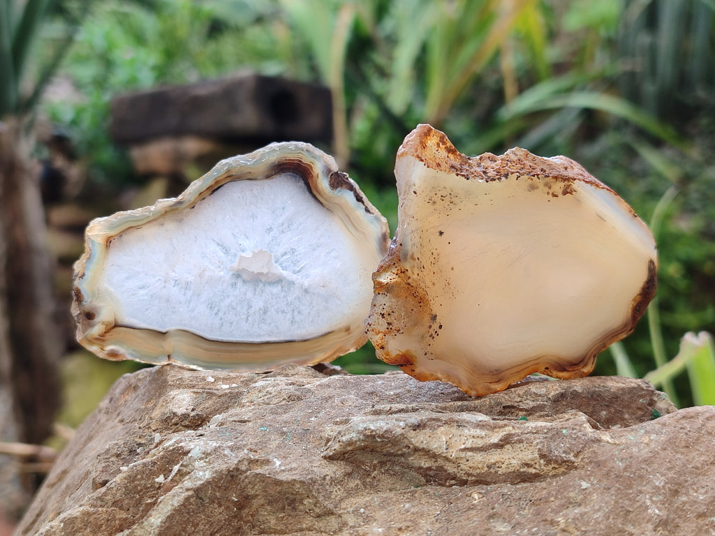 Polished Banded Agate Slices x 24 From Madagascar - Toprock Gemstones and Minerals 