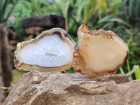 Polished Banded Agate Slices x 24 From Madagascar
