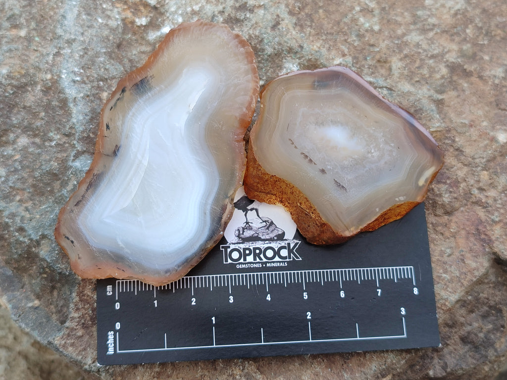 Polished Banded Agate Slices x 24 From Madagascar - Toprock Gemstones and Minerals 