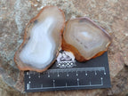 Polished Banded Agate Slices x 24 From Madagascar - Toprock Gemstones and Minerals 