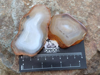 Polished Banded Agate Slices x 24 From Madagascar
