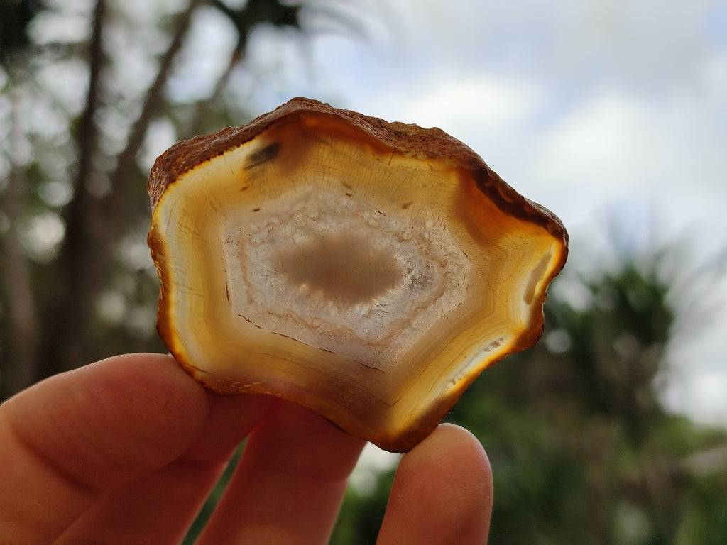 Polished Banded Agate Slices x 24 From Madagascar - Toprock Gemstones and Minerals 
