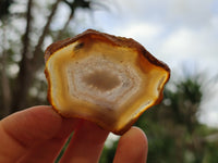 Polished Banded Agate Slices x 24 From Madagascar