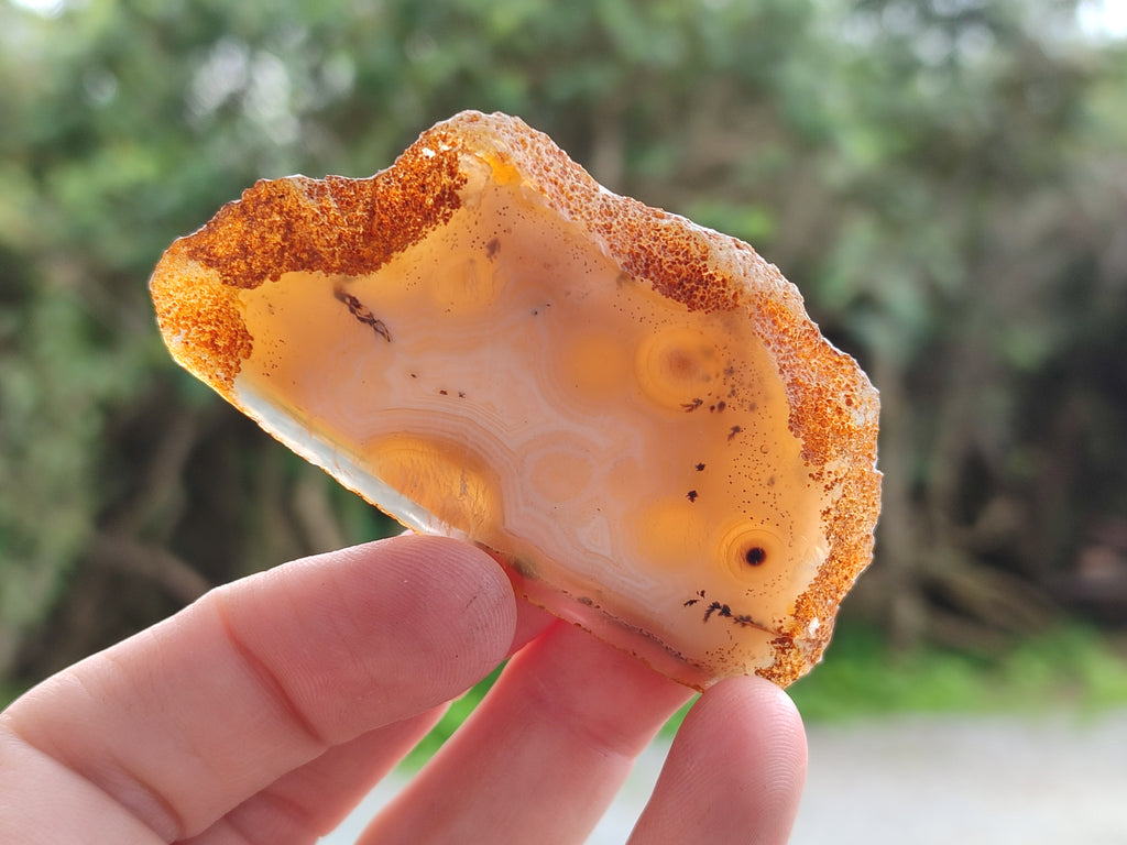 Polished Banded Agate Slices x 24 From Madagascar - Toprock Gemstones and Minerals 