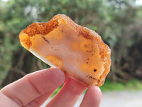 Polished Banded Agate Slices x 24 From Madagascar