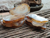 Polished Banded Agate Slices x 24 From Madagascar