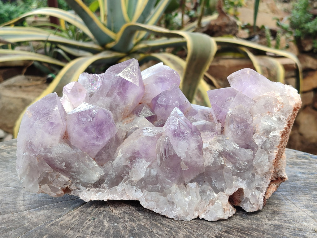 Natural Jacaranda Amethyst Quartz Cluster x 1 From Mumbwa, Zambia - Toprock Gemstones and Minerals 