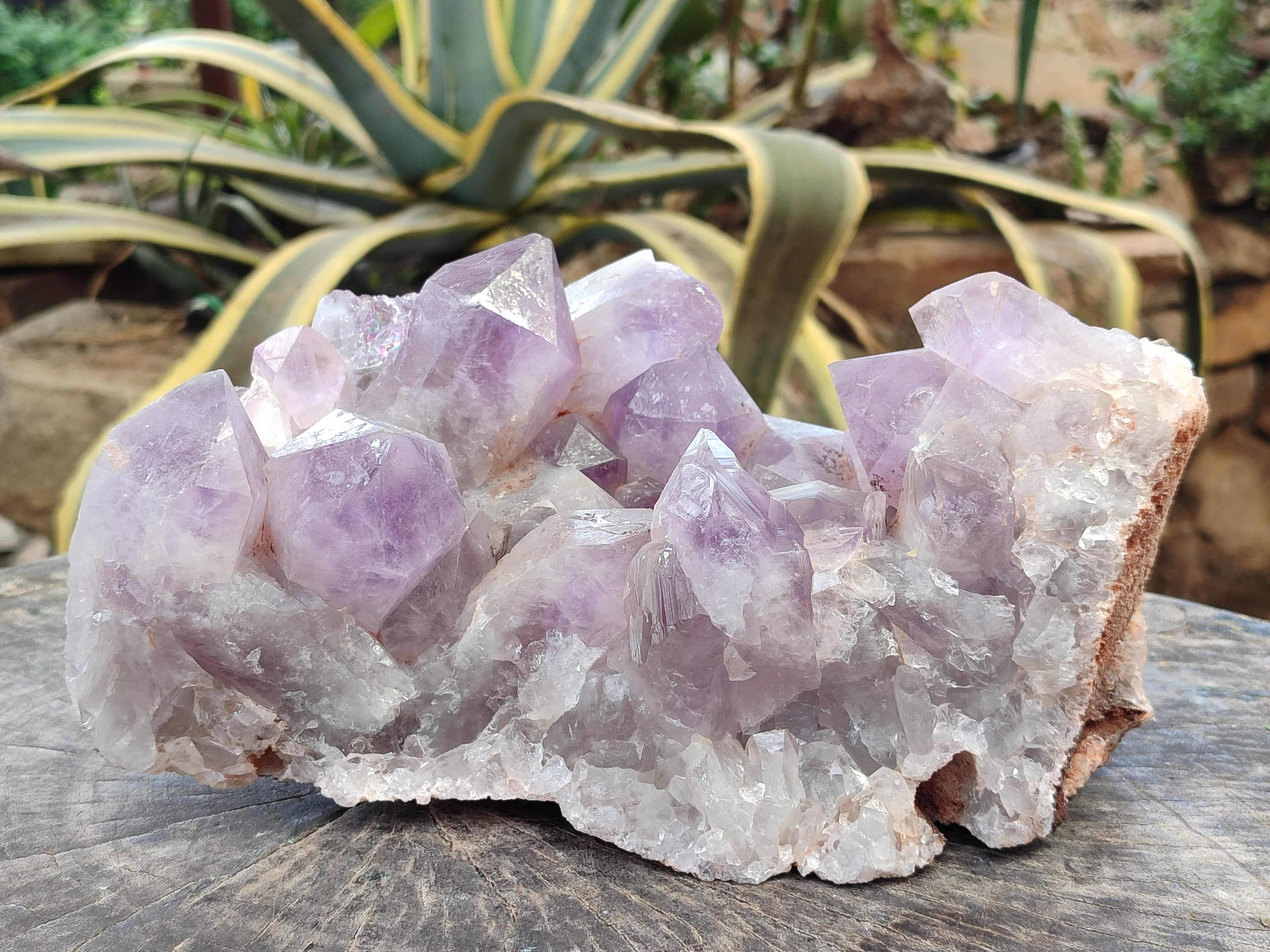 Natural Jacaranda Amethyst Quartz Cluster x 1 From Mumbwa, Zambia - Toprock Gemstones and Minerals 