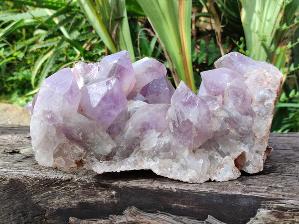Natural Jacaranda Amethyst Quartz Cluster x 1 From Mumbwa, Zambia