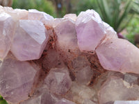Natural Jacaranda Amethyst Quartz Cluster x 1 From Mumbwa, Zambia