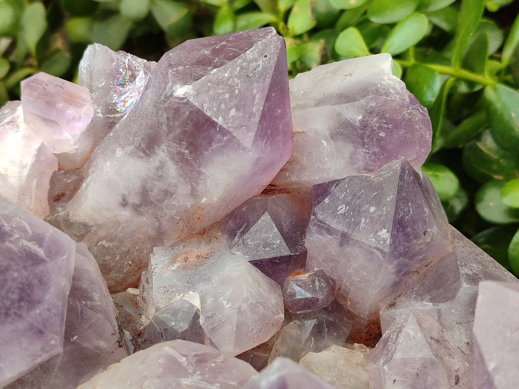 Natural Jacaranda Amethyst Quartz Cluster x 1 From Mumbwa, Zambia - Toprock Gemstones and Minerals 