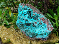 Natural Chrysocolla Blade Crystal Pseudomorph after Malachite with Drusy Coated Ball Malachite on Dolomite x 1 From Lupoto Mine, Congo