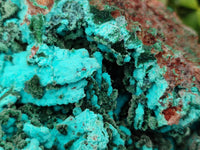 Natural Chrysocolla Blade Crystal Pseudomorph after Malachite with Drusy Coated Ball Malachite on Dolomite x 1 From Lupoto Mine, Congo