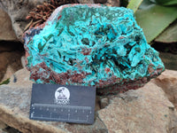 Natural Chrysocolla Blade Crystal Pseudomorph after Malachite with Drusy Coated Ball Malachite on Dolomite x 1 From Lupoto Mine, Congo