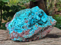 Natural Chrysocolla Blade Crystal Pseudomorph after Malachite with Drusy Coated Ball Malachite on Dolomite x 1 From Lupoto Mine, Congo