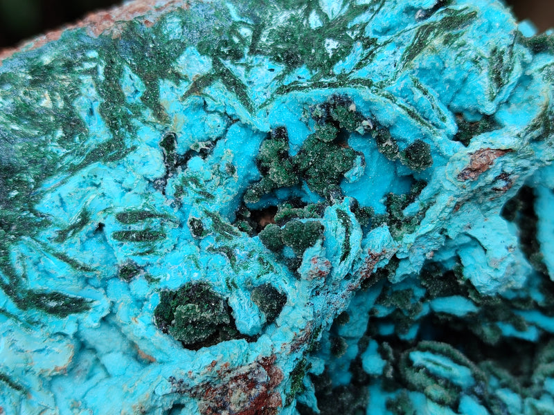 files/164285_9_3e92c601-6198-473e-8a2f-769d05c9b8a5.jpg