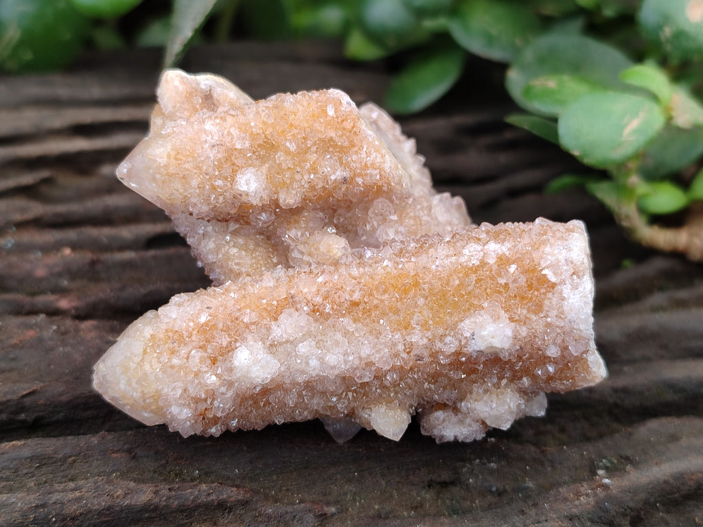 Natural Golden Limonite Spirit Quartz Crystals x 7 From South Africa - Toprock Gemstones and Minerals 