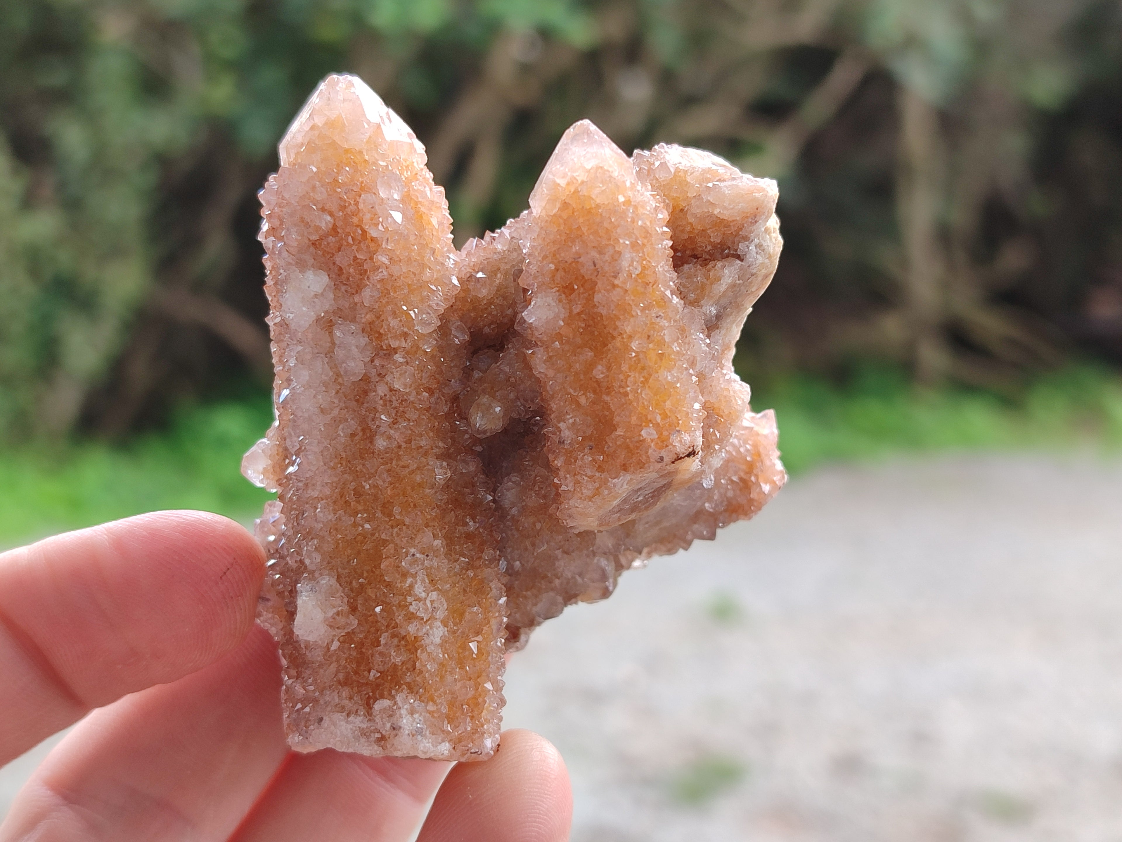 Natural Golden Limonite Spirit Quartz Crystals x 7 From South Africa - Toprock Gemstones and Minerals 