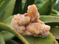 Natural Golden Limonite Spirit Quartz Crystals x 7 From South Africa