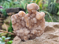 Natural Golden Limonite Spirit Quartz Crystals x 7 From South Africa
