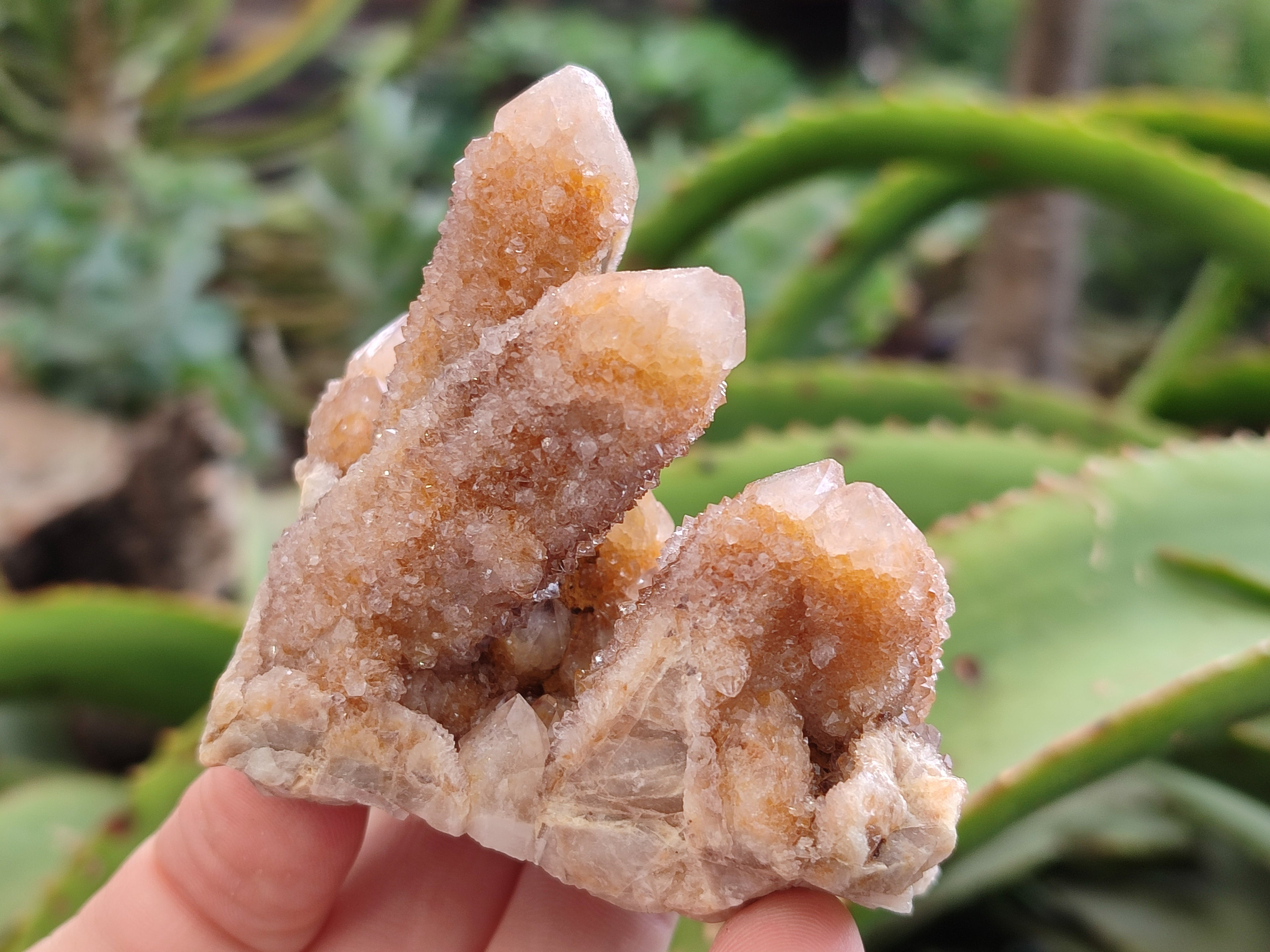 Natural Golden Limonite Spirit Quartz Crystals x 7 From South Africa - Toprock Gemstones and Minerals 