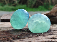 Polished Green Fluorite Palm Stones x 20 From Madagascar