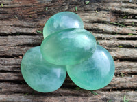 Polished Green Fluorite Palm Stones x 20 From Madagascar