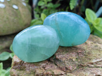 Polished Green Fluorite Palm Stones x 20 From Madagascar