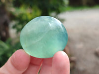 Polished Green Fluorite Palm Stones x 20 From Madagascar