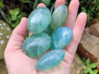 Polished Green Fluorite Palm Stones x 20 From Madagascar