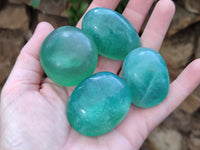 Polished Green Fluorite Palm Stones x 20 From Madagascar