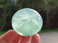 Polished Green Fluorite Palm Stones x 20 From Madagascar