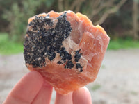 Natural Sunset Orange Rhombohedron Calcite Specimens x 12 From Spitzkop, Namibia