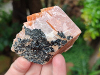 Natural Sunset Orange Rhombohedron Calcite Specimens x 12 From Spitzkop, Namibia