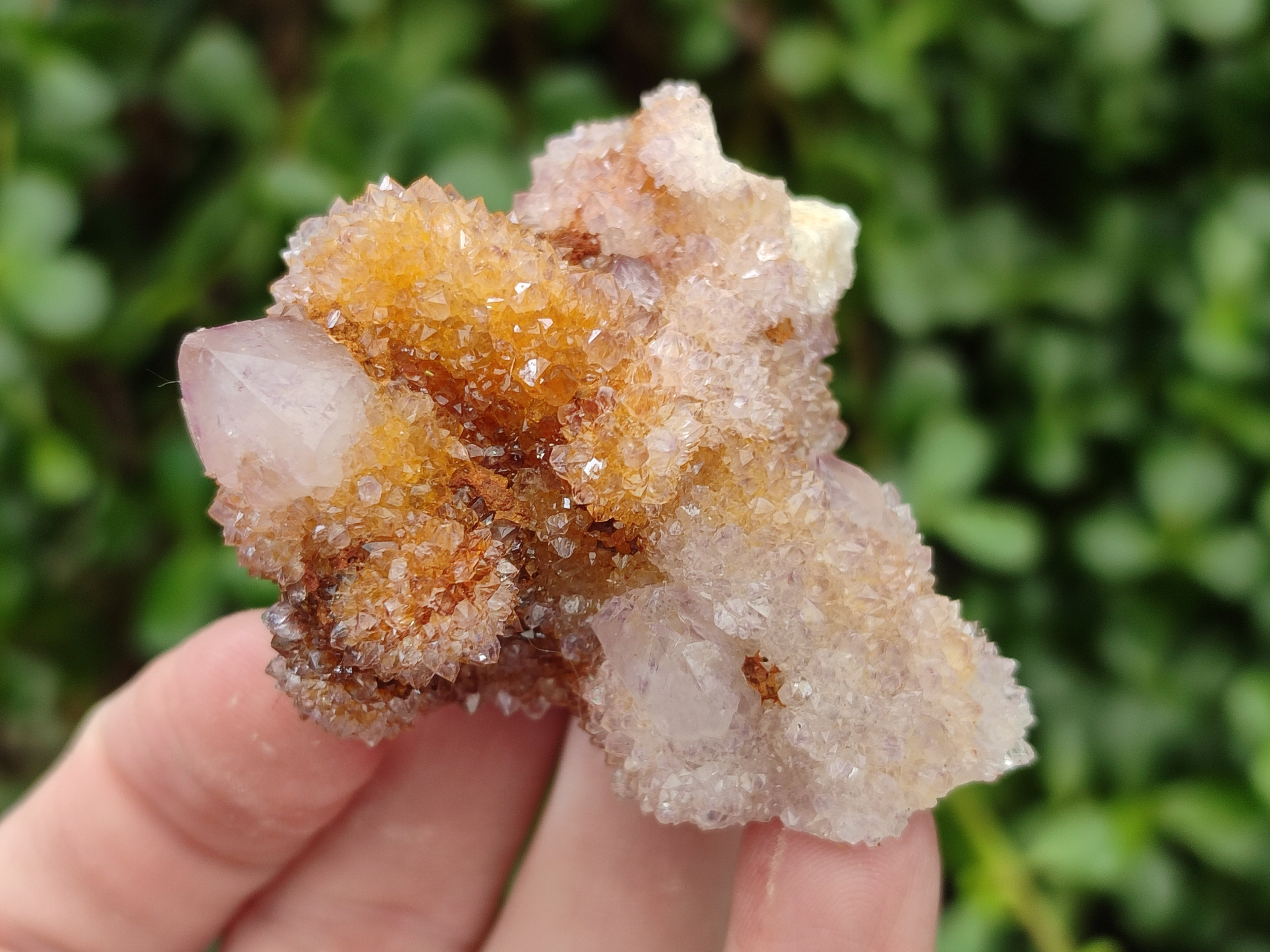 Natural Mixed Amethyst Spirit Quartz Clusters x 12 From Boekenhouthoek, South Africa - Toprock Gemstones and Minerals 