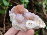 Natural Mixed Amethyst Spirit Quartz Clusters x 12 From Boekenhouthoek, South Africa
