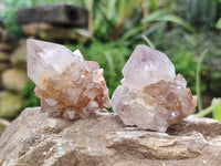 Natural Mixed Amethyst Spirit Quartz Clusters x 12 From Boekenhouthoek, South Africa