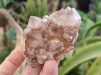 Natural Mixed Amethyst Spirit Quartz Clusters x 12 From Boekenhouthoek, South Africa