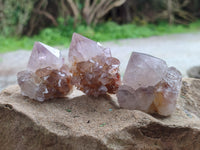 Natural Mixed Amethyst Spirit Quartz Clusters x 12 From Boekenhouthoek, South Africa