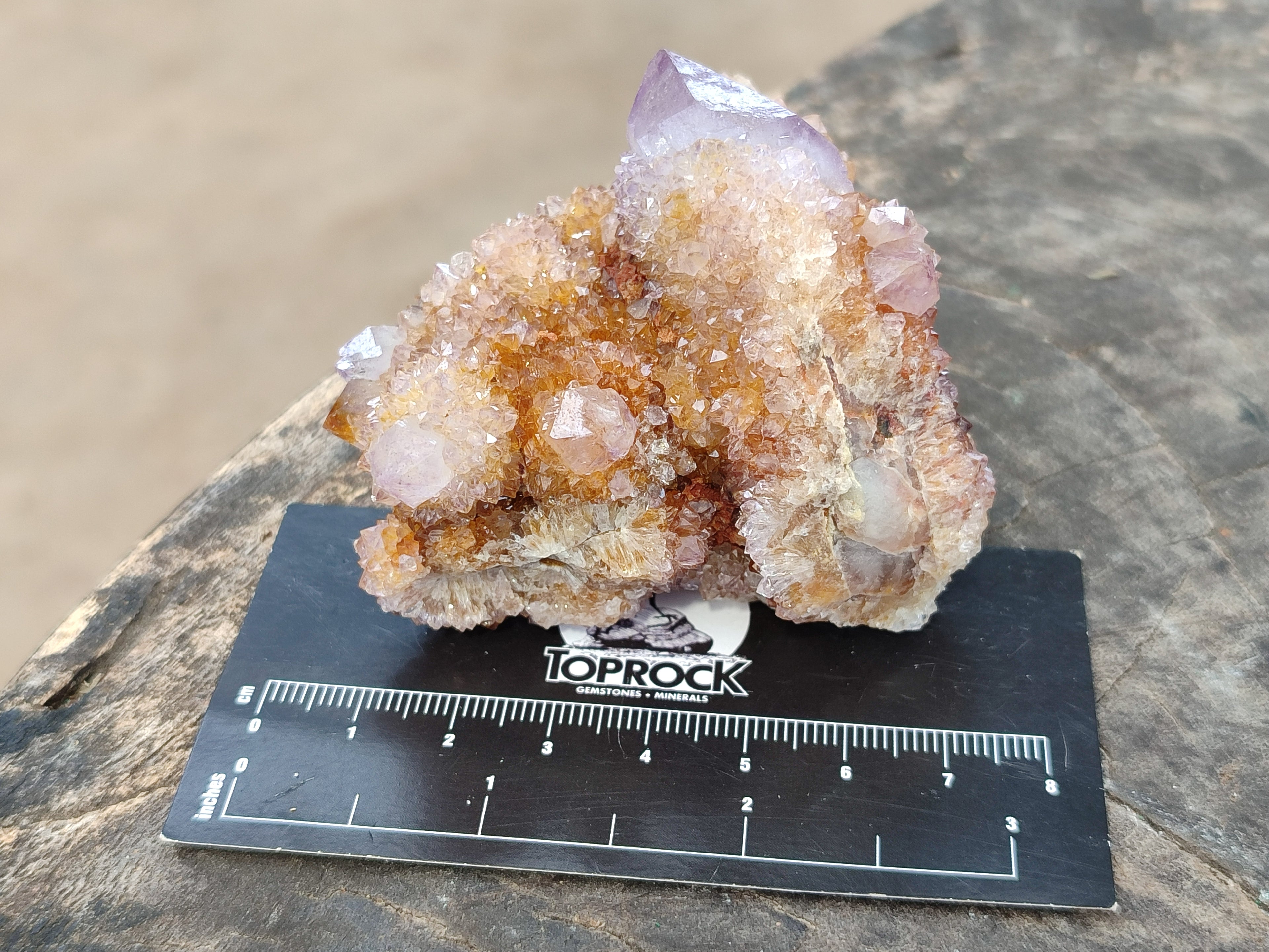 Natural Mixed Amethyst Spirit Quartz Clusters x 12 From Boekenhouthoek, South Africa - Toprock Gemstones and Minerals 