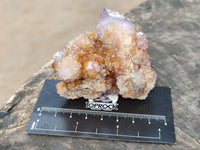 Natural Mixed Amethyst Spirit Quartz Clusters x 12 From Boekenhouthoek, South Africa