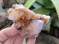 Natural Mixed Amethyst Spirit Quartz Clusters x 12 From Boekenhouthoek, South Africa