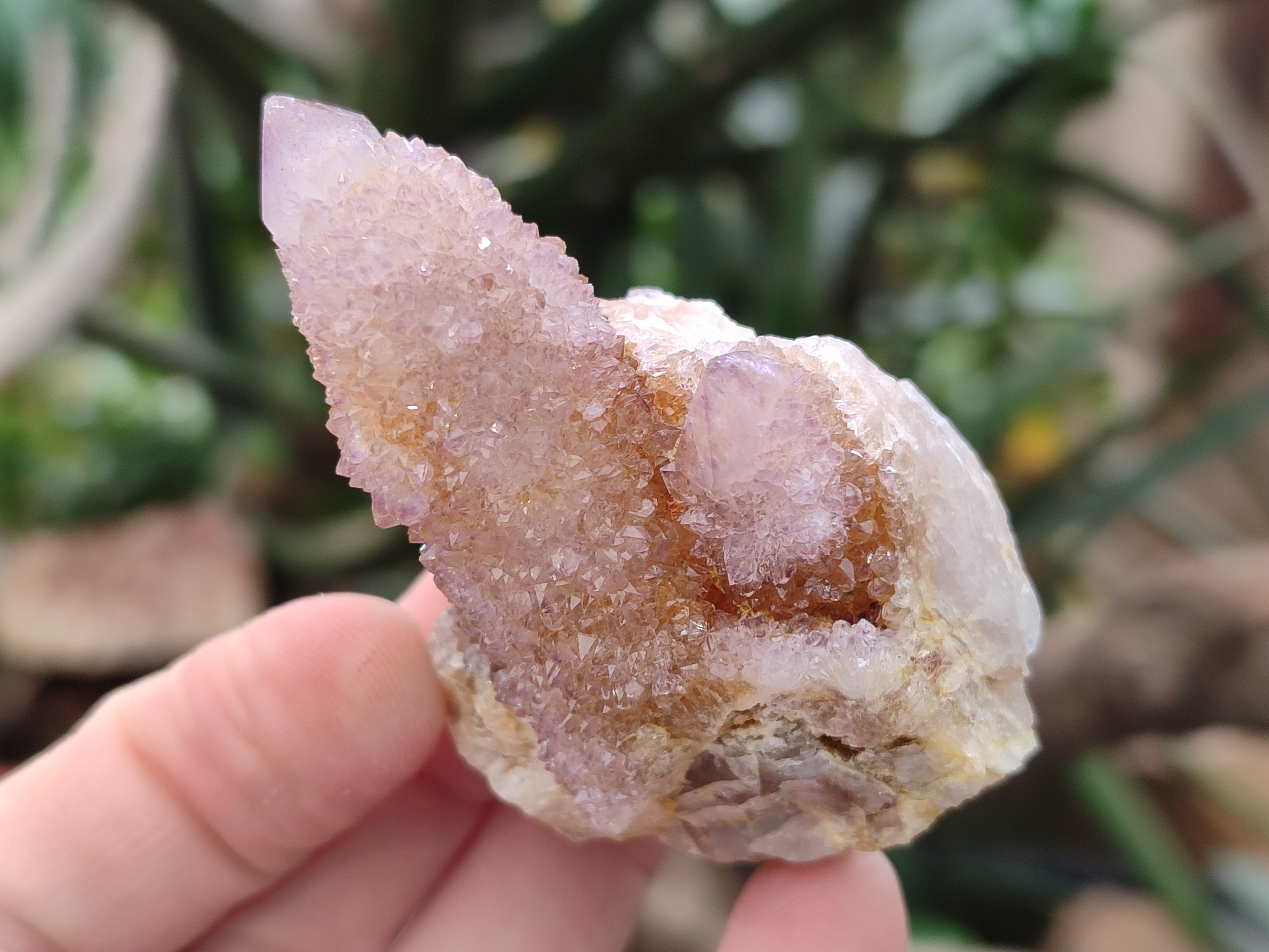 Natural Mixed Amethyst Spirit Quartz Clusters x 12 From Boekenhouthoek, South Africa - Toprock Gemstones and Minerals 