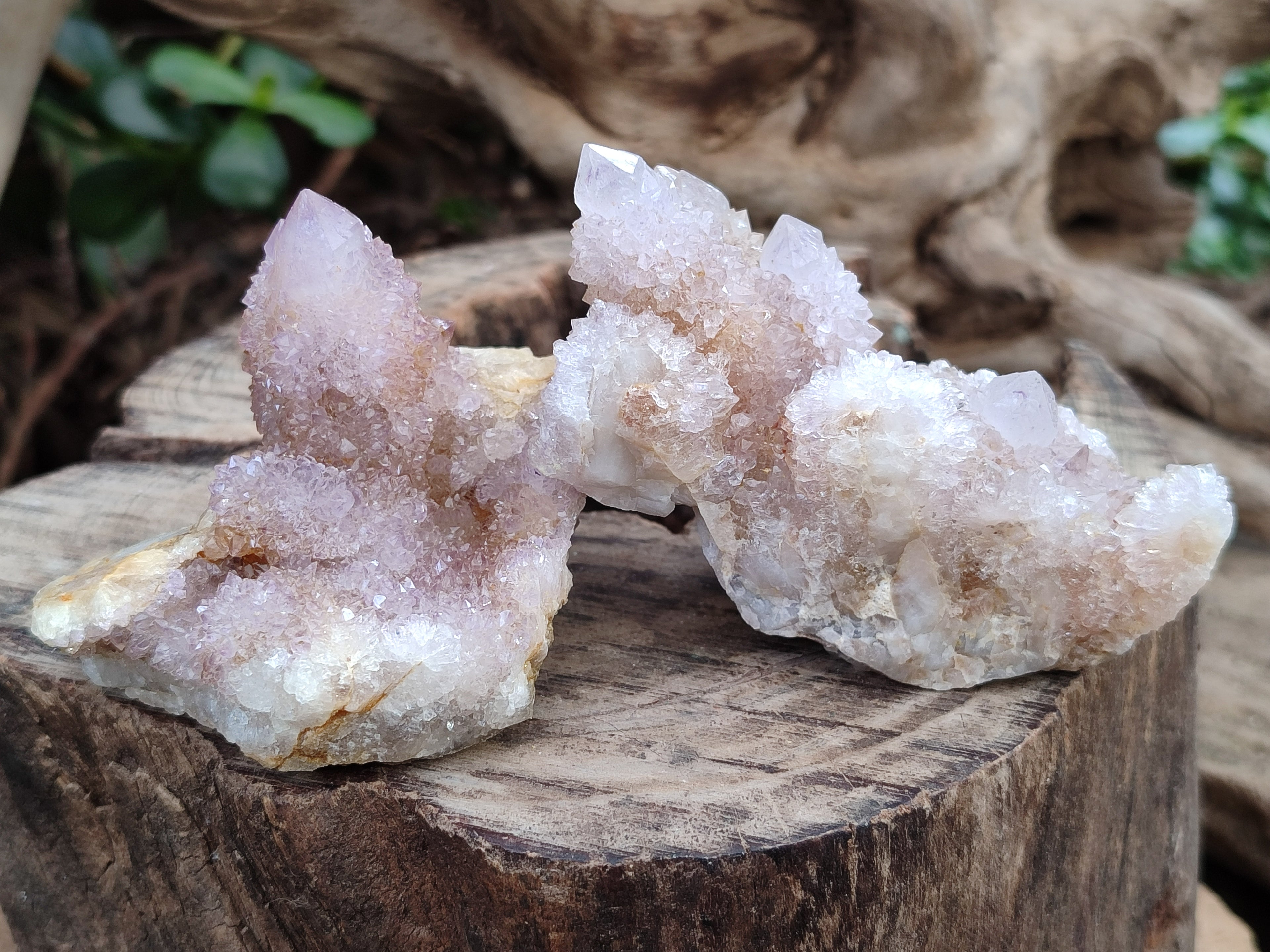 Natural Mixed Amethyst Spirit Quartz Clusters x 12 From Boekenhouthoek, South Africa - Toprock Gemstones and Minerals 