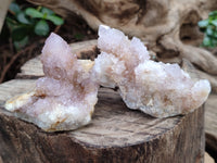 Natural Mixed Amethyst Spirit Quartz Clusters x 12 From Boekenhouthoek, South Africa
