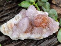 Natural Mixed Amethyst Spirit Quartz Clusters x 12 From Boekenhouthoek, South Africa