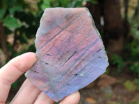 Polished On One Side Purple Flash Labradorite Slices x 12 From Tulear, Madagascar