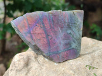 Polished On One Side Purple Flash Labradorite Slices x 12 From Tulear, Madagascar