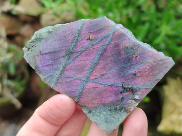 Polished On One Side Purple Flash Labradorite Slices x 12 From Tulear, Madagascar
